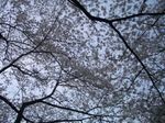 080403_above.jpg