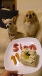 111027_11cake.jpg
