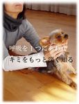 071118_dogyoga.jpg