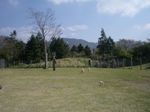 080422_dogrun.jpg